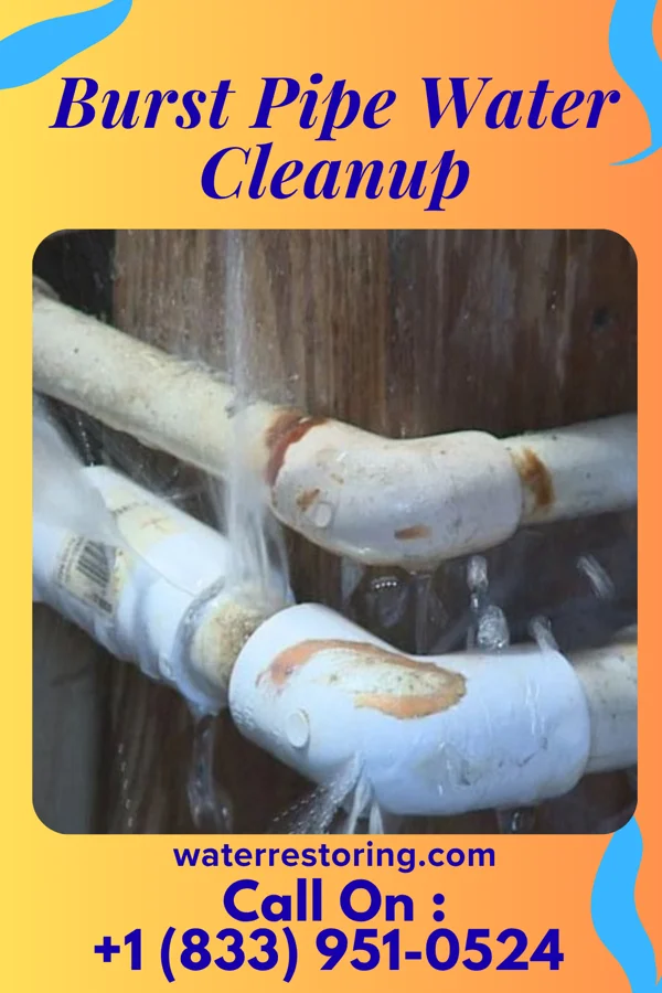 Burst Pipe Water Cleanup in Dexter, IA